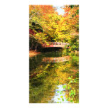 Autumn Park With Bridge Custom Photo Card