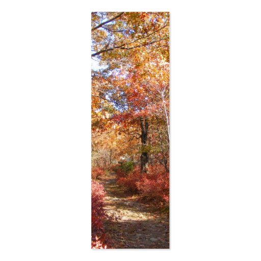 Autumn Path 27 ~ profile card Business Card (front side)