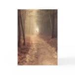 Autumn Path Greeting Cards
