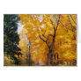 Autumn Path Cards