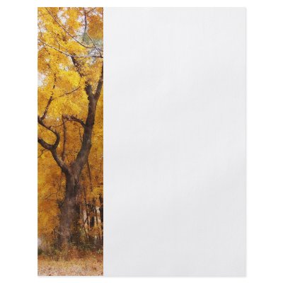 Autumn Path Custom Flyer by SusanSavad