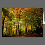 Autumn Path Greeting Card cards