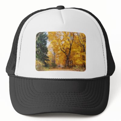 Autumn Path Hat by SusanSavad