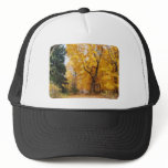 Autumn Path hats