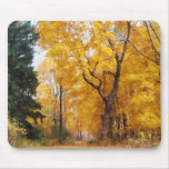 Autumn Path Mouse Pads