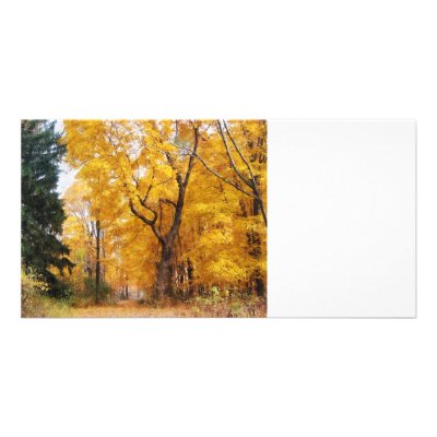 Autumn Path Photo Card by SusanSavad