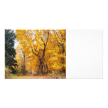 Autumn Path Photo Card