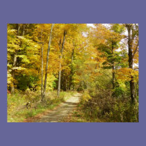 Autumn Path posters