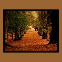 Autumn Path Poster Print