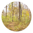 Autumn Path Sticker by imperfectiomism Autumn Path Sticker