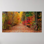 Autumn pathway , print