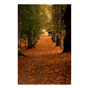 Autumn Pathways posters