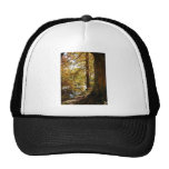 Autumn Perspective Hat