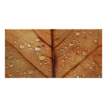 Autumn Photo Card