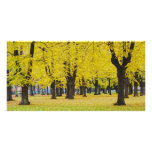 Autumn Photo Card