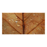 Autumn Photo Card