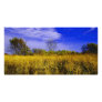 Autumn Personalized Photo Card