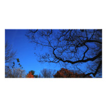 Autumn photo cards by catsirish Autumn photo cards