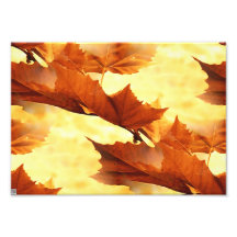 Autumn Photographic Print