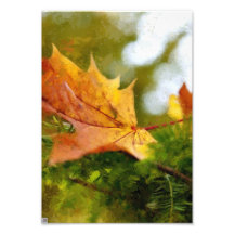 Autumn Photographic Print