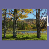 Autumn Pond cards