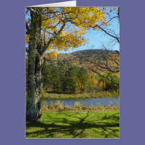 Autumn Pond cards