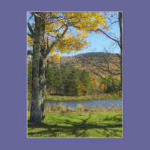 Autumn Pond postcards