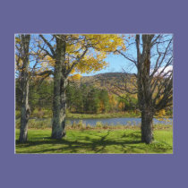 Autumn Pond postcards