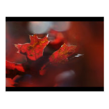 autumn post card