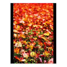 autumn post card