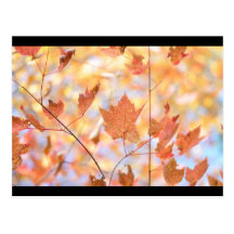 autumn post card