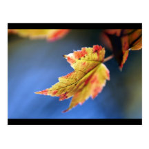 autumn post cards