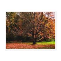 Autumn Postacard 1 postcards