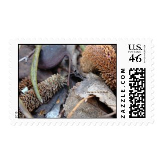Autumn Postage stamp