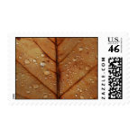 Autumn Postage Stamp