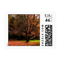 Autumn Postage Stamp