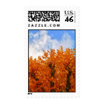 Autumn postage stamp