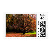 Autumn Postage Stamp (medium)