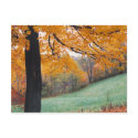 Autumn postcards by nancyro Autumn postcards