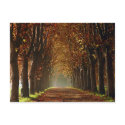 autumn postcards by REDINARD autumn postcards