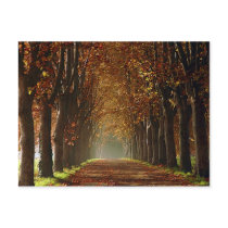 autumn postcards by REDINARD autumn postcards