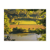 Autumn Post Card