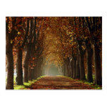 autumn postcard