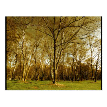 autumn postcard