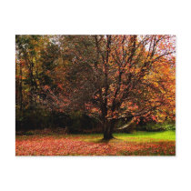 Autumn Postcard 1