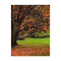 Autumn Postcard 2