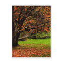 Autumn Postcard 4 by klaramie Autumn Postcard 4
