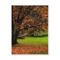 Autumn Postcard 4 postcards