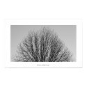 Autumn posters