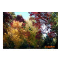 Autumn posters